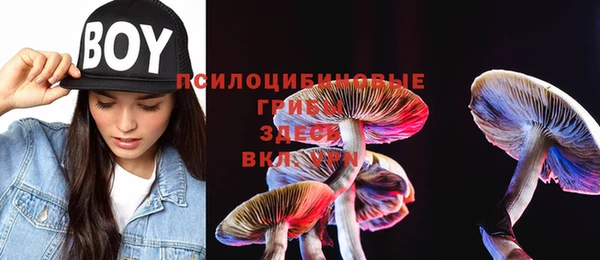 меф Белокуриха